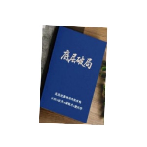 《底层破局》PDF