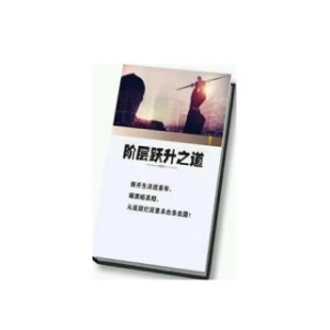 《阶层跃升之道》PDF