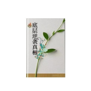 《底层逆袭真相》PDF