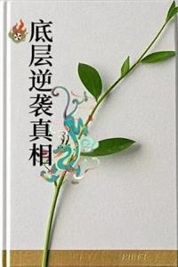 《底层逆袭真相》PDF-爱读书