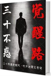 《三十不惑觉醒路》PDF-爱读书