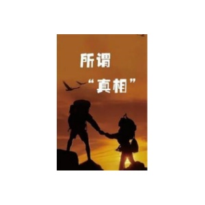《所谓“真相”》PDF