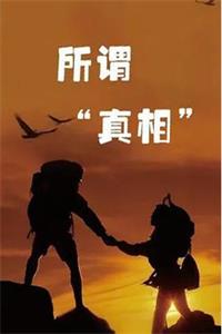 《所谓“真相”》PDF-爱读书