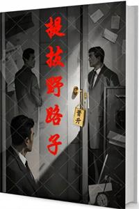 《提拔野路子》PDF-爱读书