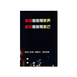 《走错路发现世界，走对路发现自己》PDF