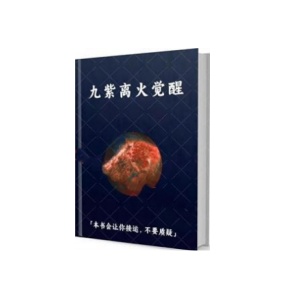 《九紫离火觉醒》PDF
