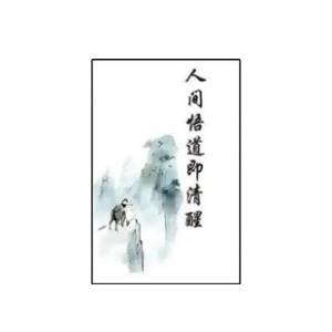 《人间悟道即清醒》PDF