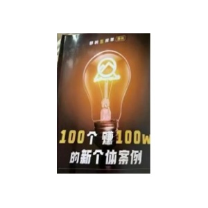 《 100个赚100w的新个体案例》PDF