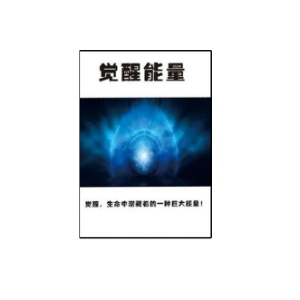 《觉醒能量》PDF
