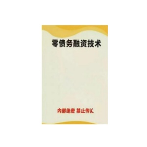 《零债务融资技术》PDF