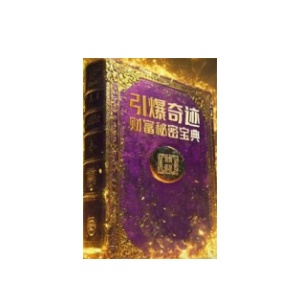 《引爆奇迹·财富秘密宝典》PDF
