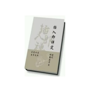 《插入即禅定》PDF
