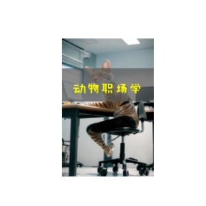 《动物职场学》PDF