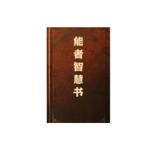 《能者智慧书》PDF