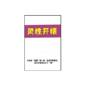 《灵性开悟》PDF