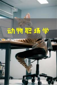 《动物职场学》PDF-爱读书