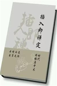 《插入即禅定》PDF-爱读书